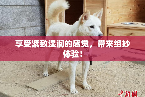 享受紧致湿润的感觉，带来绝妙体验！
