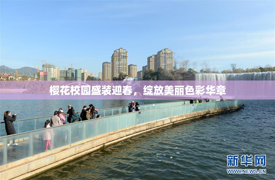 樱花校园盛装迎春，绽放美丽色彩华章
