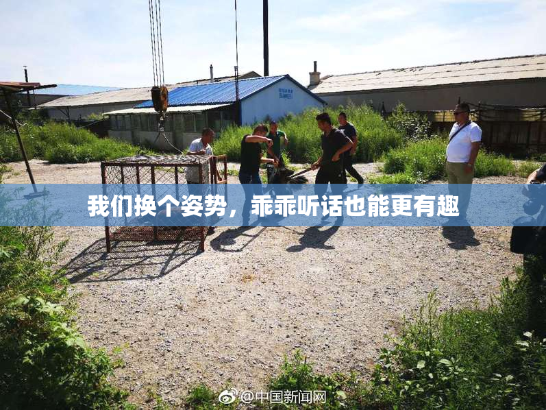 我们换个姿势，乖乖听话也能更有趣