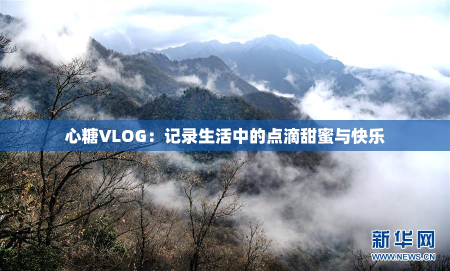 心糖VLOG：记录生活中的点滴甜蜜与快乐