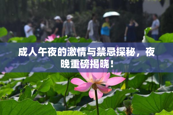 成人午夜的激情与禁忌探秘，夜晚重磅揭晓！