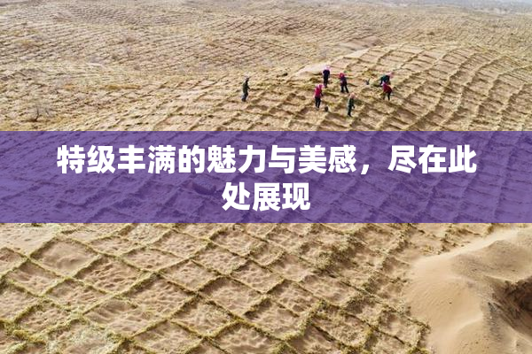 特级丰满的魅力与美感，尽在此处展现