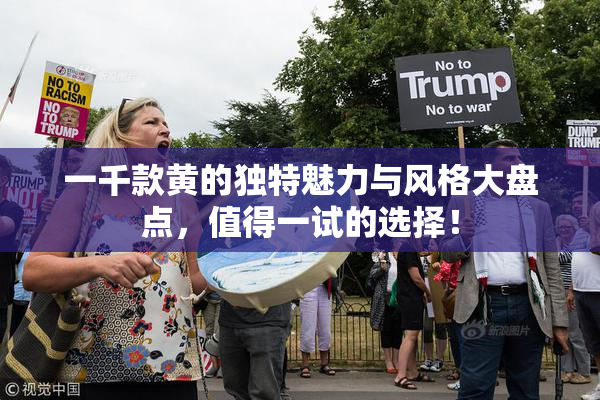 一千款黄的独特魅力与风格大盘点，值得一试的选择！