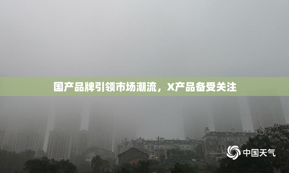 国产品牌引领市场潮流，X产品备受关注