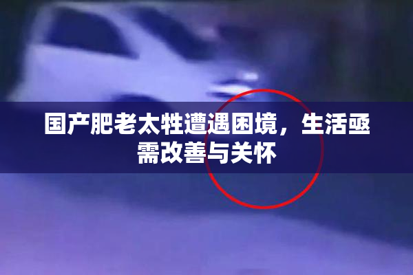 国产肥老太牲遭遇困境，生活亟需改善与关怀