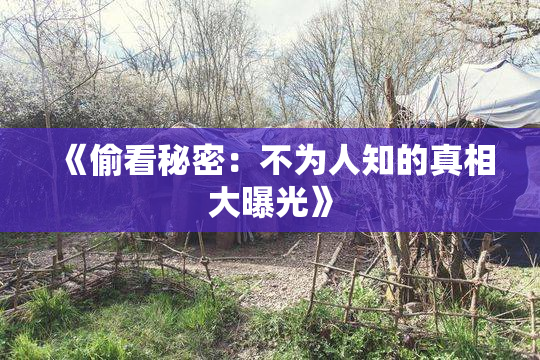 《偷看秘密：不为人知的真相大曝光》