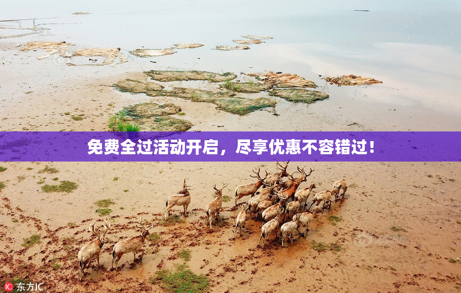 免费全过活动开启，尽享优惠不容错过！
