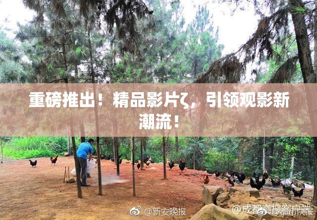 重磅推出！精品影片ζ，引领观影新潮流！
