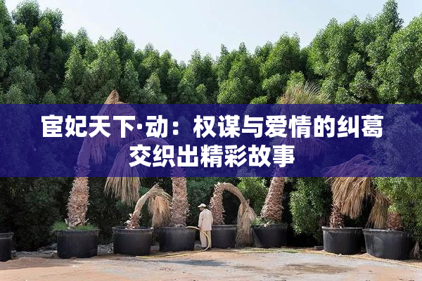 宦妃天下·动：权谋与爱情的纠葛交织出精彩故事