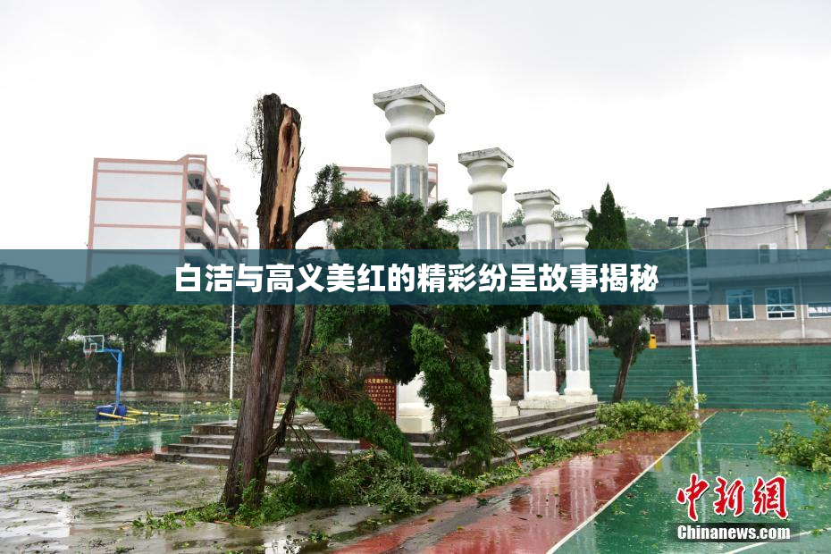 白洁与高义美红的精彩纷呈故事揭秘