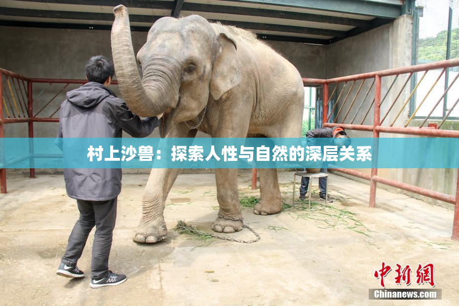 村上沙兽：探索人性与自然的深层关系