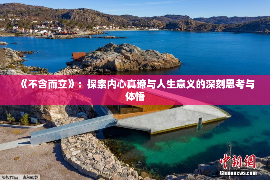 《不含而立》：探索内心真谛与人生意义的深刻思考与体悟