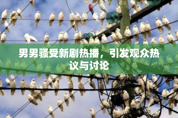 男男骚受新剧热播，引发观众热议与讨论