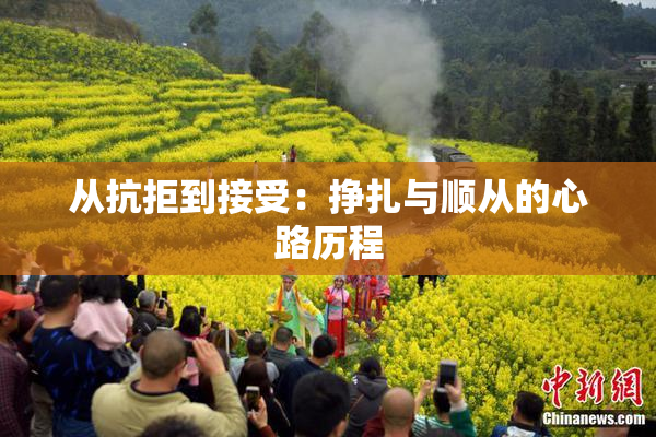 从抗拒到接受：挣扎与顺从的心路历程