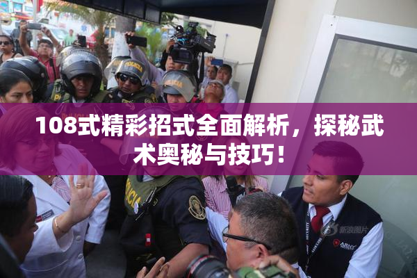 108式精彩招式全面解析，探秘武术奥秘与技巧！