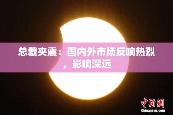 总裁夹震：国内外市场反响热烈，影响深远