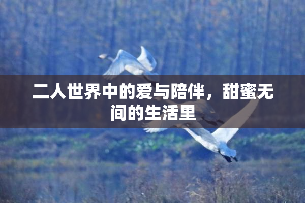 二人世界中的爱与陪伴，甜蜜无间的生活里