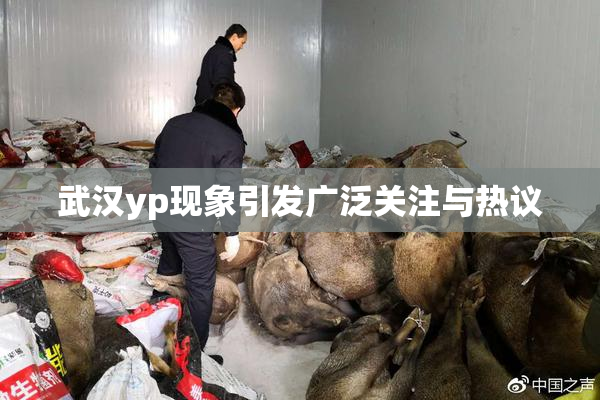 武汉yp现象引发广泛关注与热议