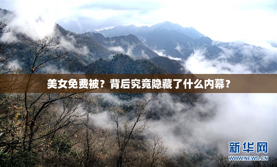 美女免费被？背后究竟隐藏了什么内幕？