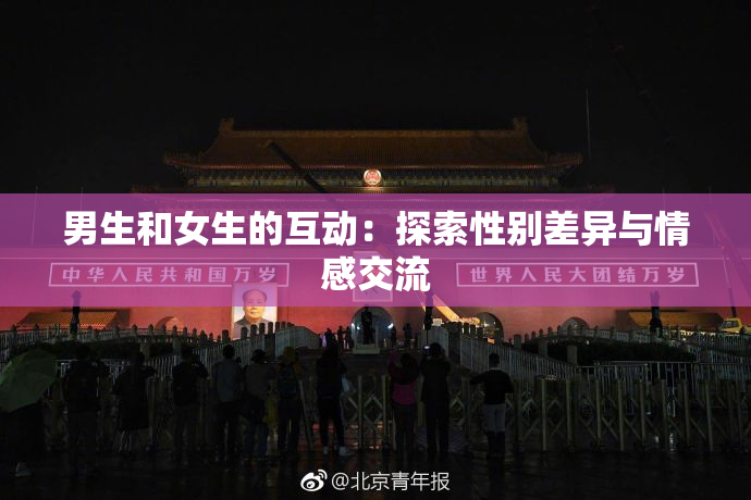 男生和女生的互动：探索性别差异与情感交流