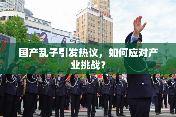 国产乱子引发热议，如何应对产业挑战？