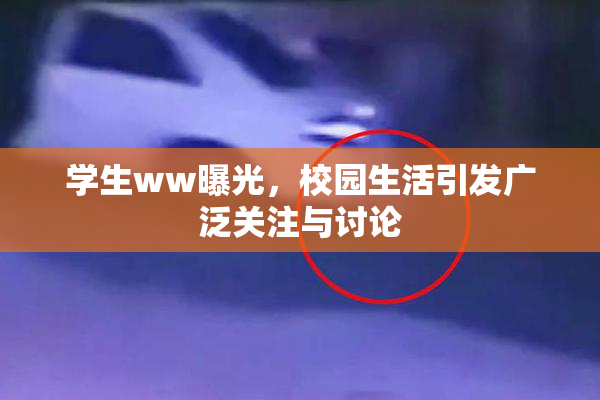 学生ww曝光，校园生活引发广泛关注与讨论