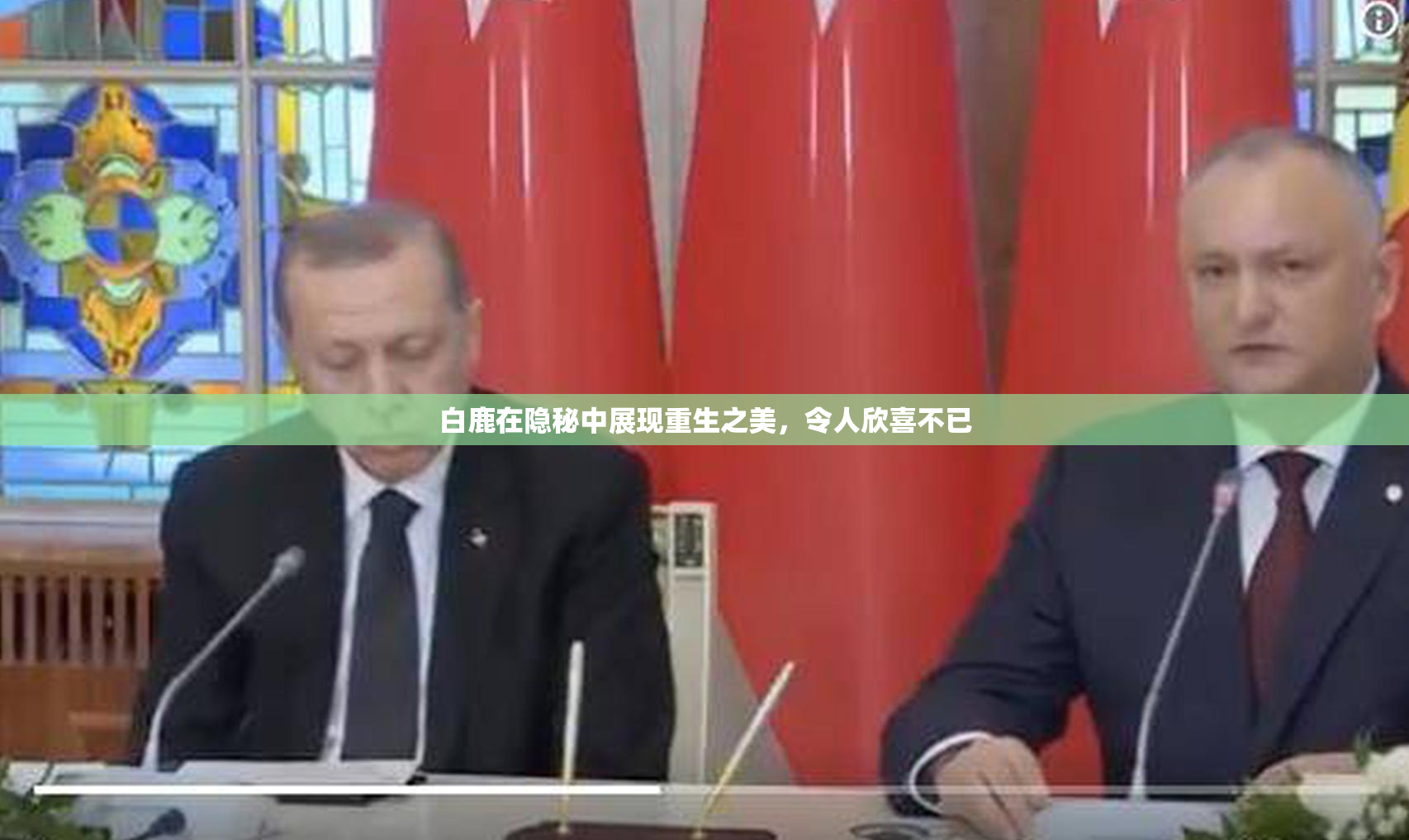 白鹿在隐秘中展现重生之美，令人欣喜不已