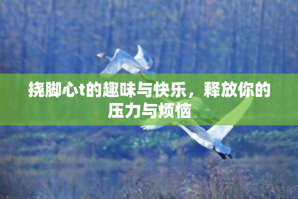 挠脚心t的趣味与快乐，释放你的压力与烦恼