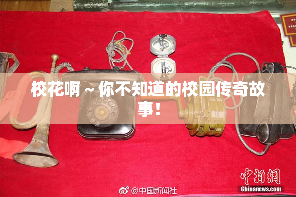 校花啊～你不知道的校园传奇故事！