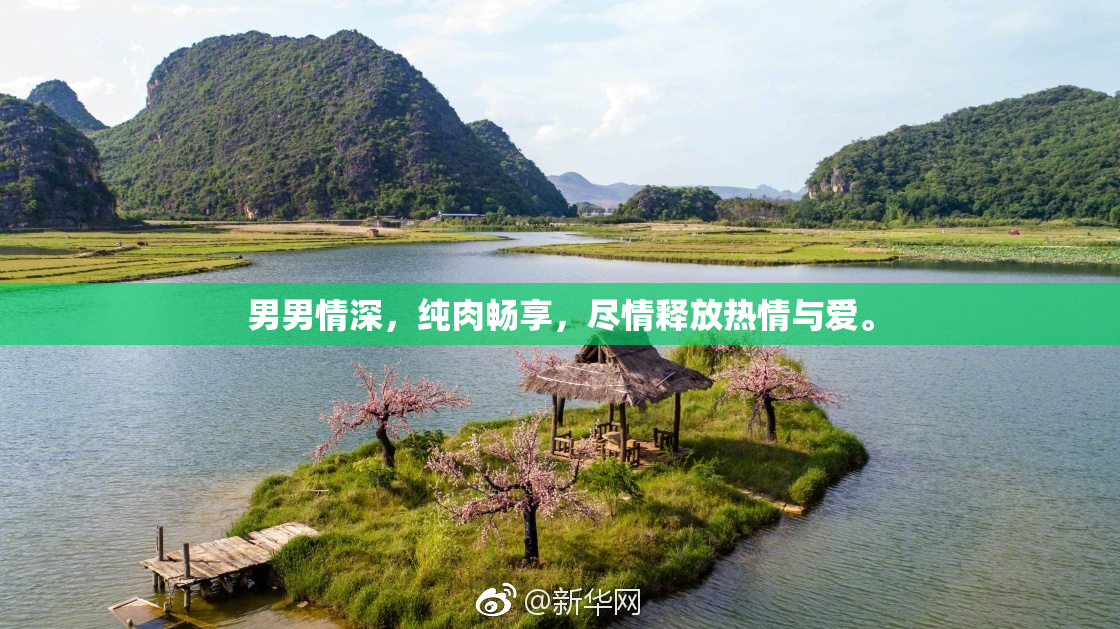 男男情深，纯肉畅享，尽情释放热情与爱。