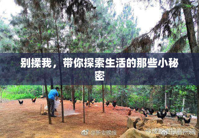 别揉我，带你探索生活的那些小秘密