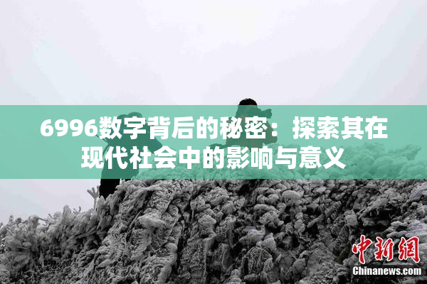 6996数字背后的秘密：探索其在现代社会中的影响与意义