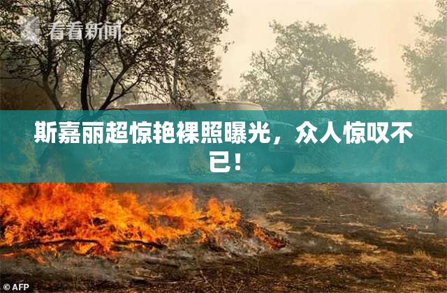 斯嘉丽超惊艳裸照曝光，众人惊叹不已！