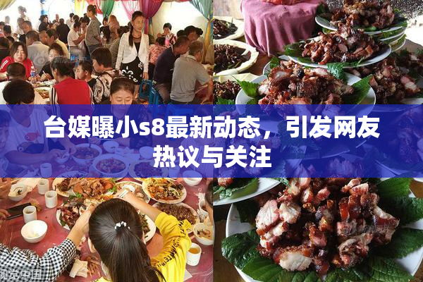 台媒曝小s8最新动态，引发网友热议与关注
