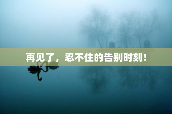 再见了，忍不住的告别时刻！
