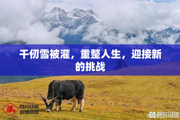 千仞雪被灌，重整人生，迎接新的挑战