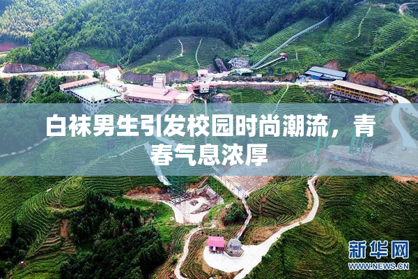 白袜男生引发校园时尚潮流，青春气息浓厚