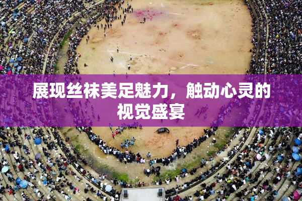 展现丝袜美足魅力，触动心灵的视觉盛宴