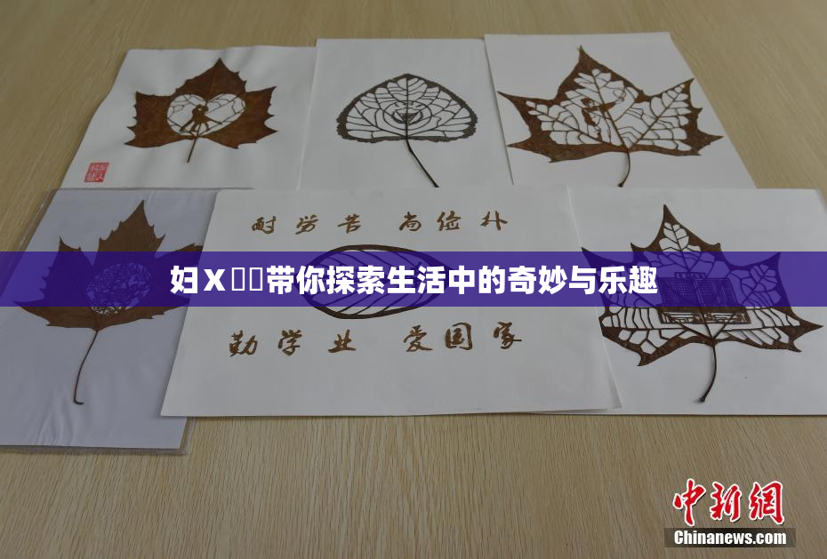 妇Ⅹ乄乂带你探索生活中的奇妙与乐趣