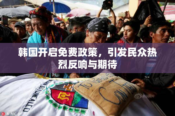 韩国开启免费政策，引发民众热烈反响与期待