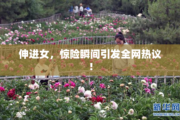 伸进女，惊险瞬间引发全网热议！