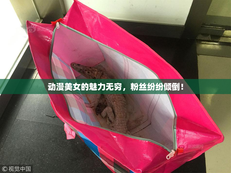 动漫美女的魅力无穷，粉丝纷纷倾倒！