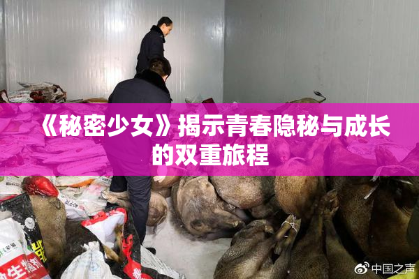 《秘密少女》揭示青春隐秘与成长的双重旅程