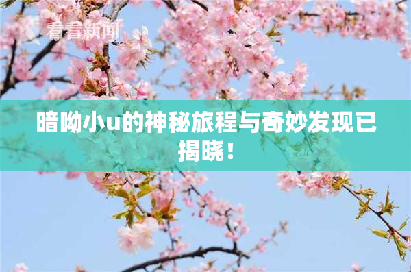 暗呦小u的神秘旅程与奇妙发现已揭晓！