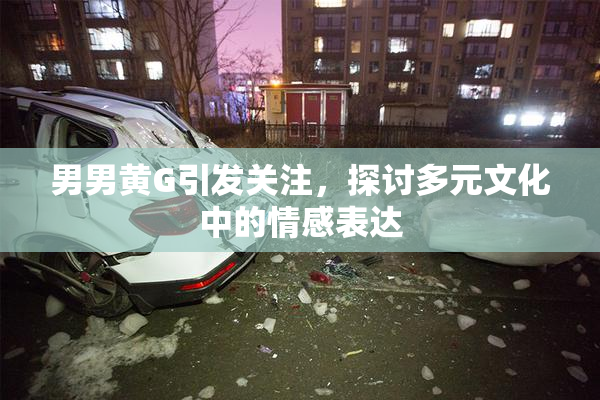 男男黄G引发关注，探讨多元文化中的情感表达