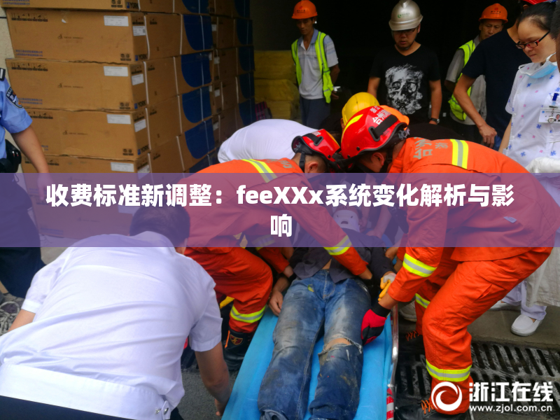 收费标准新调整：feeXXx系统变化解析与影响