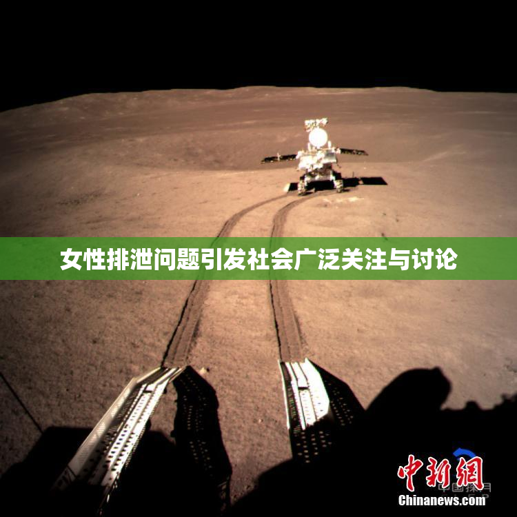 女性排泄问题引发社会广泛关注与讨论