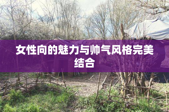 女性向的魅力与帅气风格完美结合