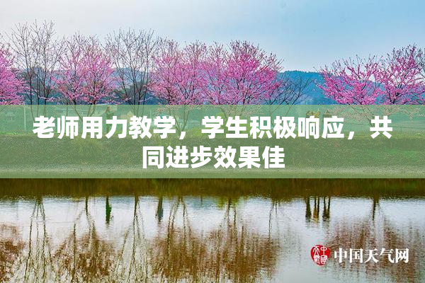 老师用力教学，学生积极响应，共同进步效果佳