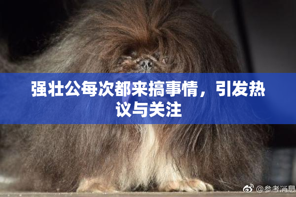 强壮公每次都来搞事情，引发热议与关注